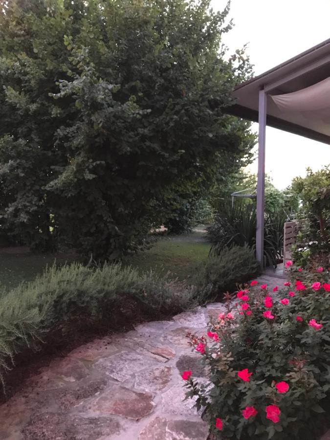 Ca' Borgo Delle Rane Hotel Pernumia Luaran gambar